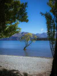 新西蘭國慶出行穿搭攻略