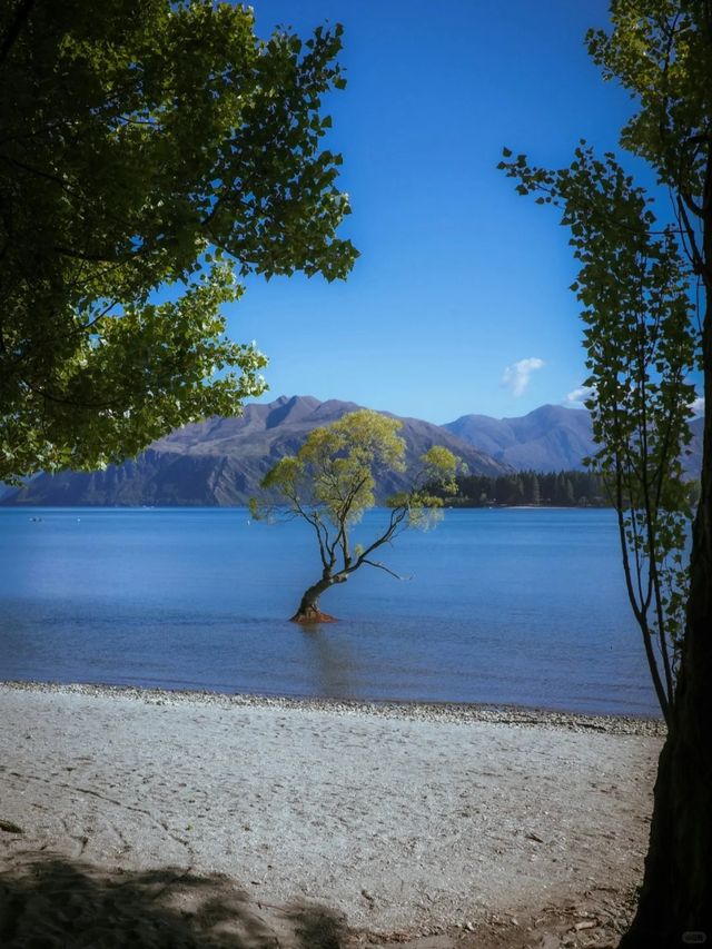 新西蘭國慶出行穿搭攻略 新西蘭國慶出行穿搭攻略