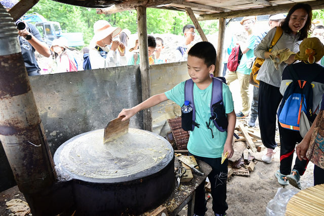 闖入黑土地，解鎖了「東北八大怪」的秘密