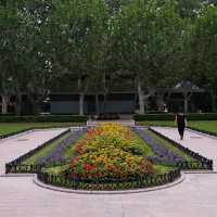 🌸 Fuxing Park: Flowers in Bloom & Qi Gong in Motion