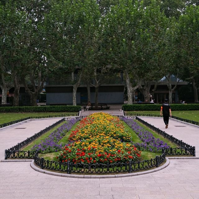 🌸 Fuxing Park: Flowers in Bloom & Qi Gong in Motion
