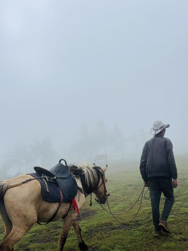 洱源高山露營絕美地