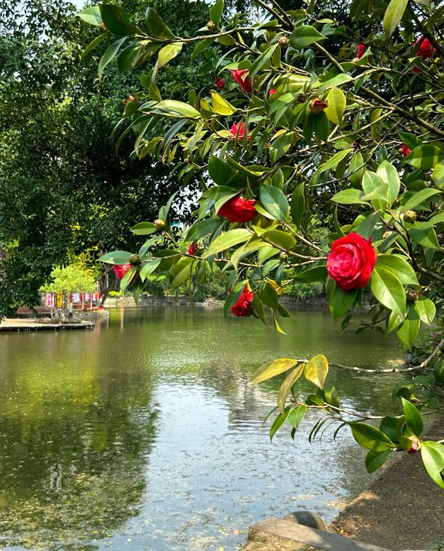 鬧中取靜,獨樹一幟的園林之光 鬧中取靜,獨樹一幟的園林之光