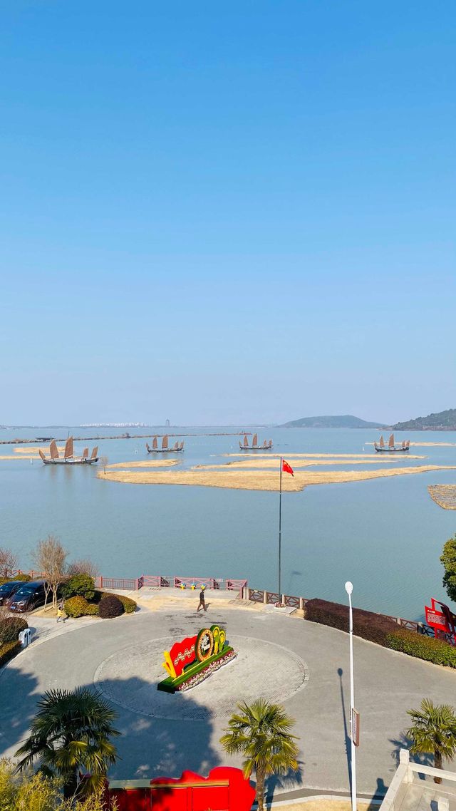 夕陽下與海鷗共舞