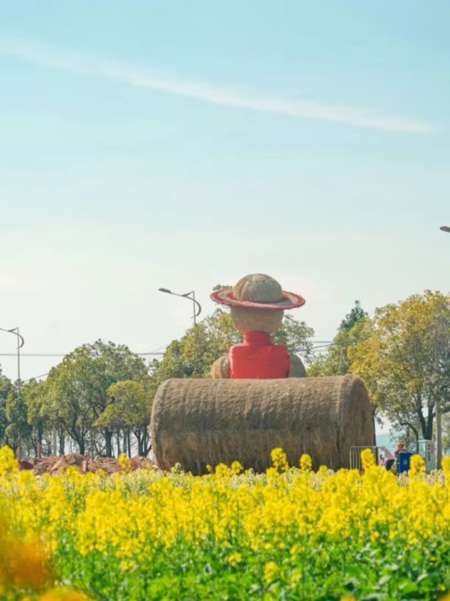 七彩花海在雲端！昆明福保村假裝在新西蘭