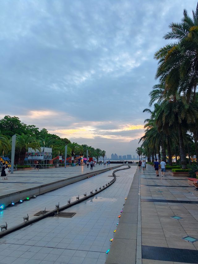 海灣公園賞花指南