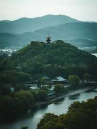 若草山手記｜在三重櫻色裡與鹿共枕星河