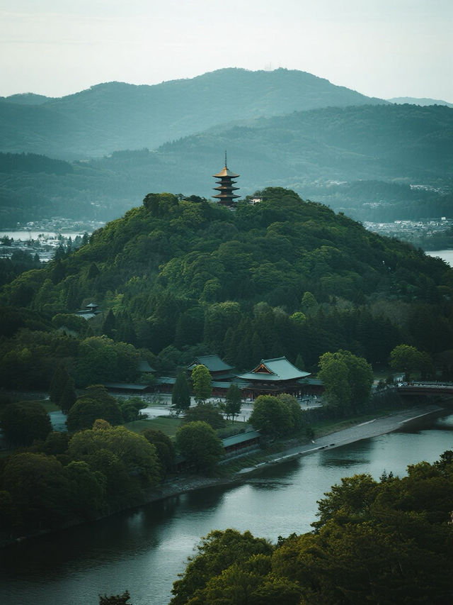 若草山手記｜在三重櫻色裡與鹿共枕星河