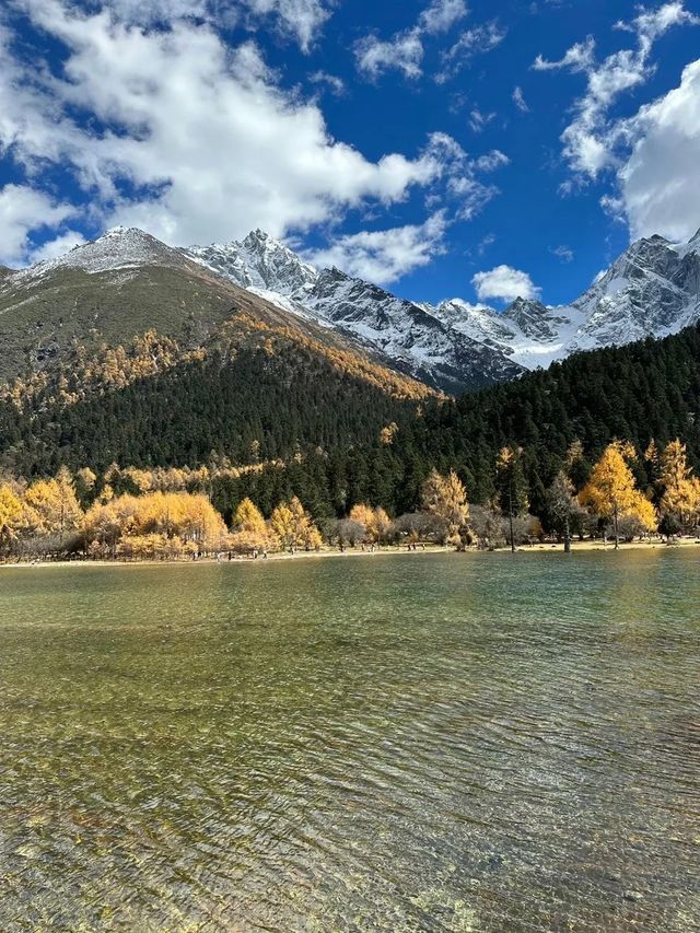 決定了秋天就去四姑娘山+理小路＋畢棚溝