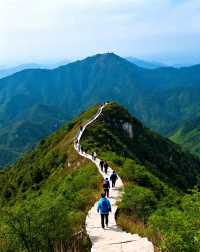 江西的田園烏托邦|是逃離城市喧囂、擁抱山野慢生活的小眾寶藏地