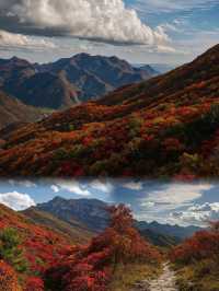 錯過等一年京郊紅葉棧道這裡已經達觀賞“巔峰”