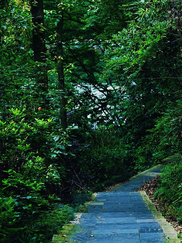 長沙小眾徒步秘境 | 桃花嶺，藏在城市旁的山野趣處 