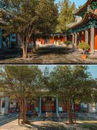鄭州藏在老城的驚喜！600年古寺的中伊美學暴擊
