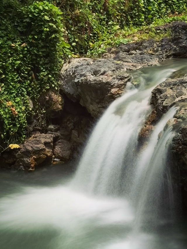 北投溪 - 發源於地熱谷，而地熱谷即位於北投公園上方，中山路底的長條橢圓的山谷爆裂窪地，之後流經北投