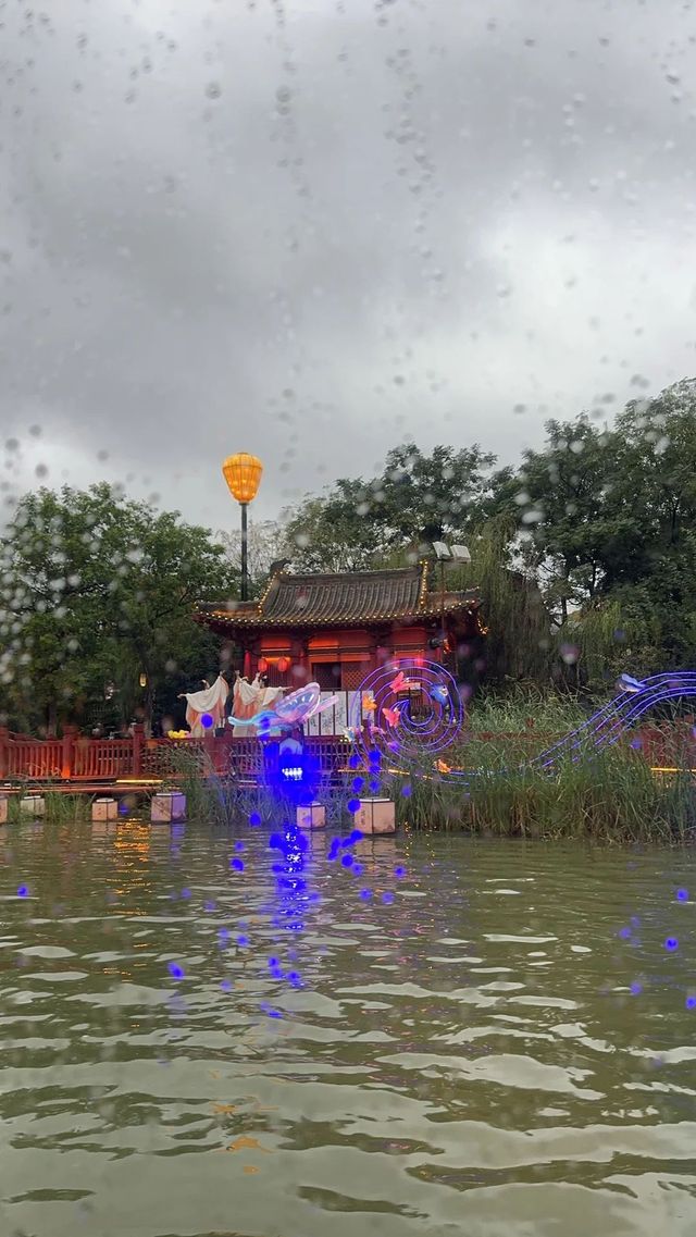我發現了在開封不用暴走的輕鬆賞菊玩法