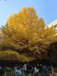跟風成功！北京賞秋打卡地詳細路線