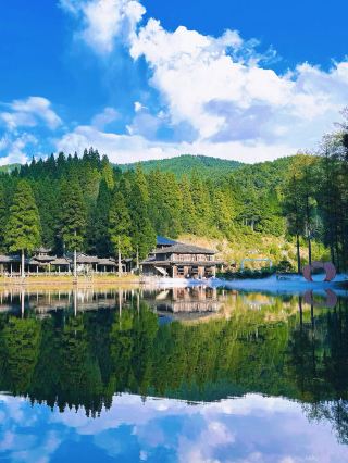 Wenzhou's Hidden Gem: Tongling Mountain in Wencheng Wrapped in Misty Forest Atmosphere