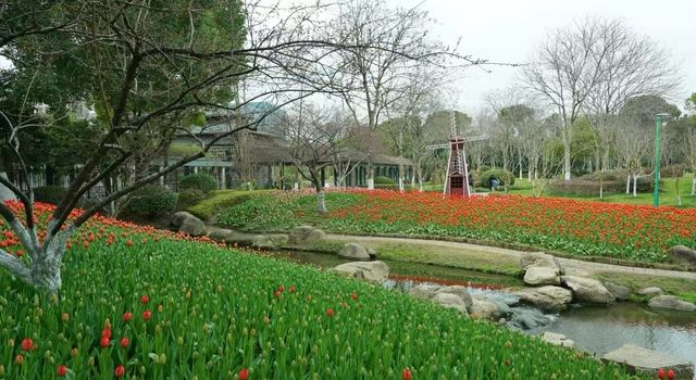 寧波的一個公園，我經常去真喜歡—日湖公園
