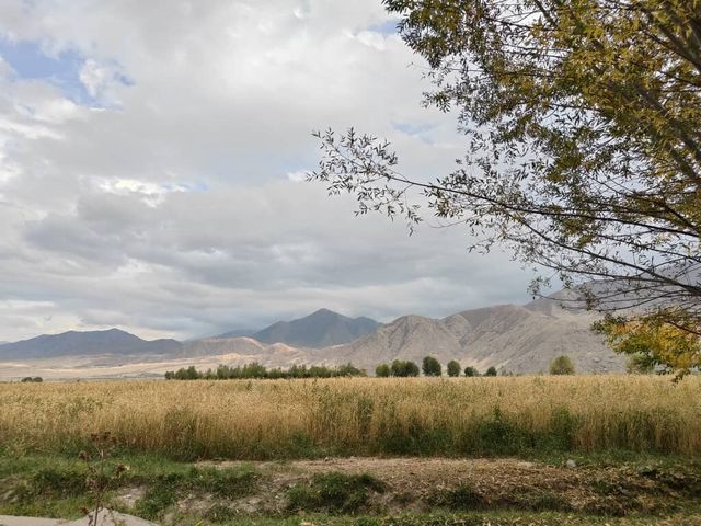 Amazing Journey with John in Central Asia Amazing Journey with John in Central Asia