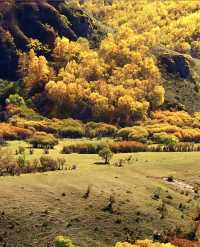 河北私藏!張北壩上3天2夜攻略,解鎖草原自由與避坑指南