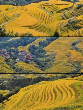 Autumn in Guilin is truly an earthly paradise, and the Longji Terraces are well worth the trip