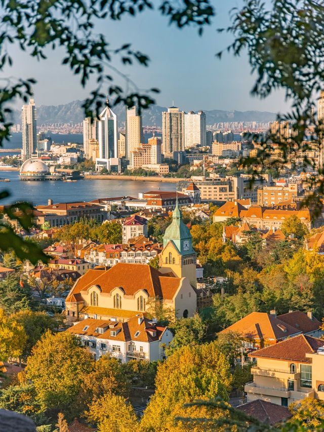 青島秋冬:闖進漫畫裡的治癒幀 青島秋冬:闖進漫畫裡的治癒幀