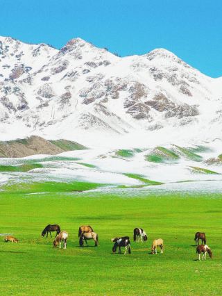 신장 사이리무호｜대서양의 마지막 눈물, 말문이 막힐 정도로 아름다워요