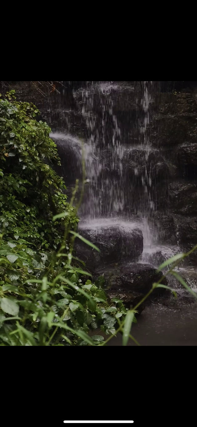 紹興府山公園｜穿越2500年的江南時光機