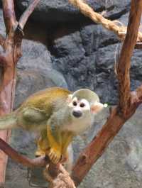 永泰歐樂堡福州版海洋王國