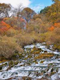 秋日松坪溝賞楓全攻略