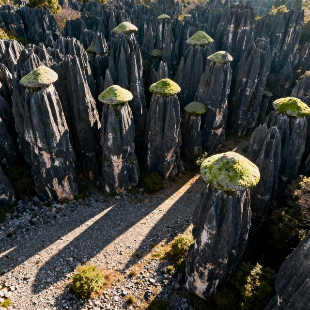 雲南曲靖4天3晚家庭旅遊攻略（預算：約4000元）】