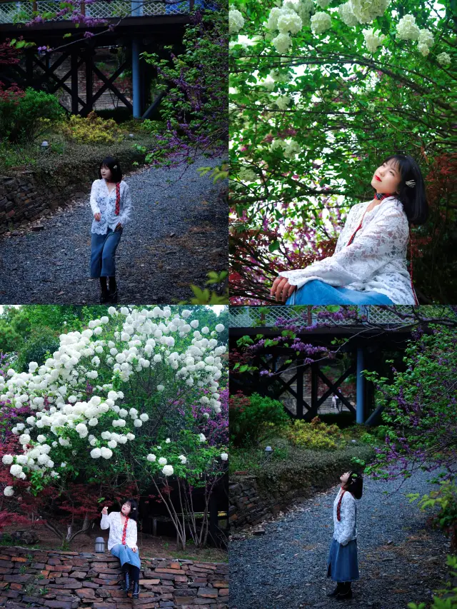 Wuhan Garden Expo Park's stunning photo spots revealed! Few people, hurry to check in!!