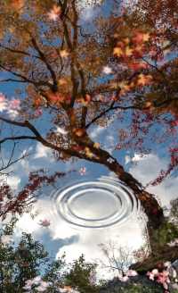 日本3日遊人均1k+玩到爽