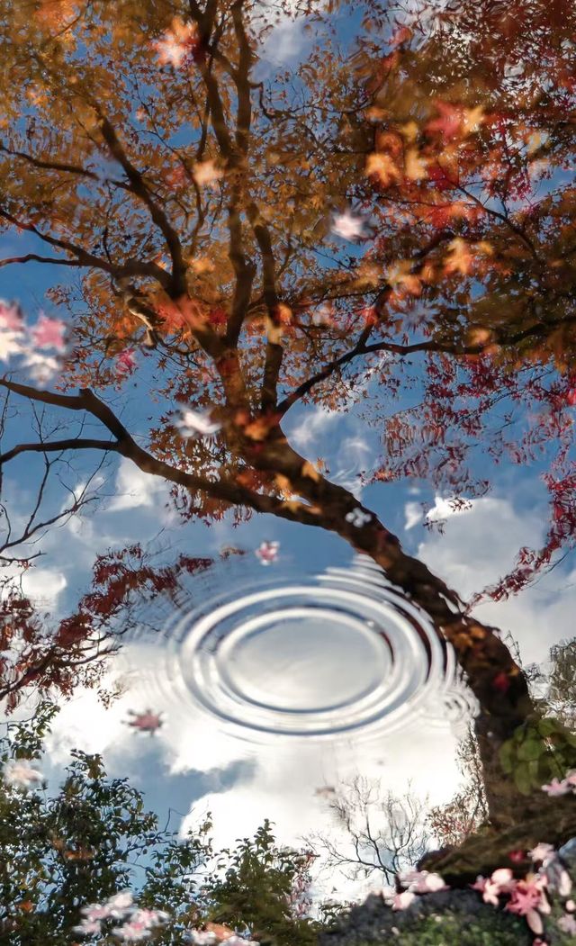 日本3日遊人均1k+玩到爽