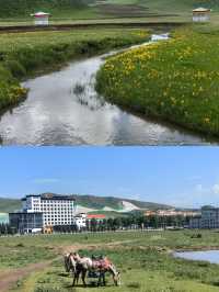 甘南秘境：當周草原的四季變幻