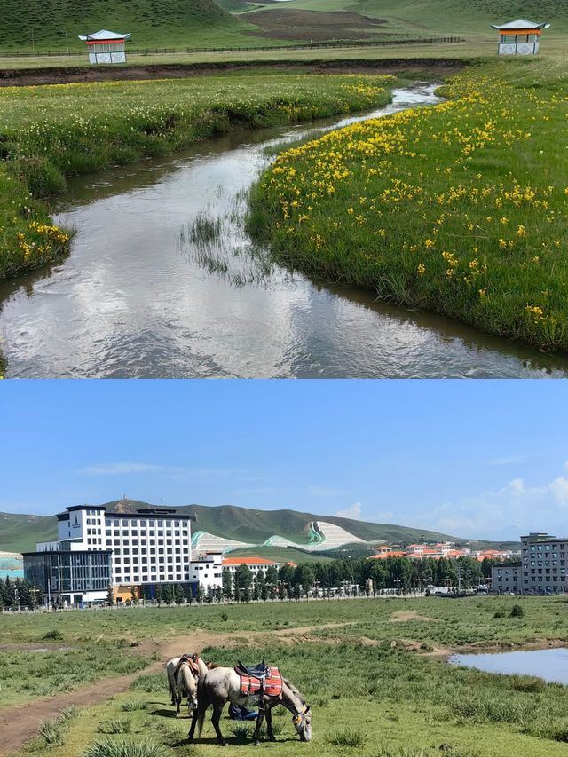 甘南秘境：當周草原的四季變幻