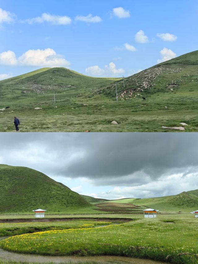 甘南秘境：當周草原的四季變幻