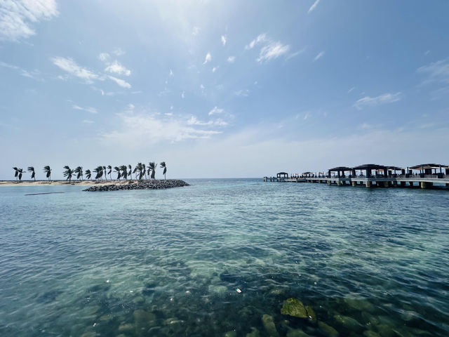 Melangkah ke Jeddah: Gerbang Menuju Kota Suci dan Seni Urban yang Memukau