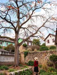 快來打卡！溫州神秘東爐村