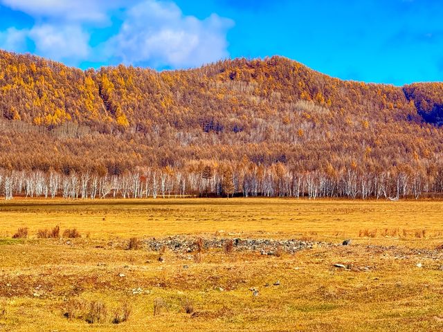 深秋阿爾山騎馬逐浪邂逅大興安嶺最美秋天