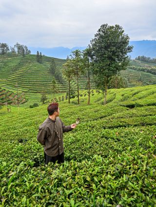 국가 지리와 함께하는 게으른 강남 수이창 여행