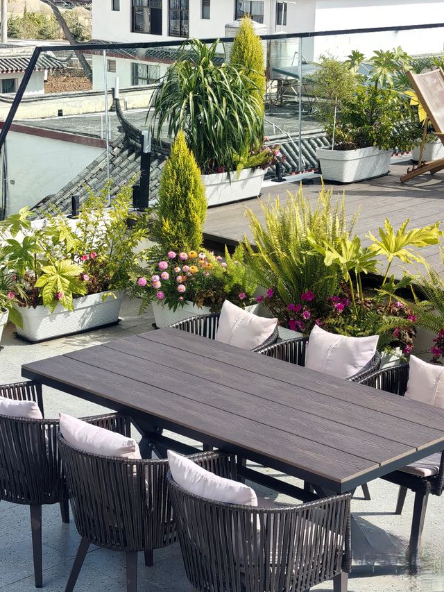 雪山下的屋頂秘境