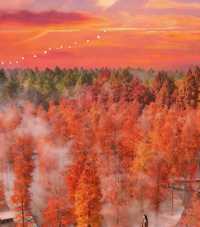 初冬限定洪澤湖濕地絕美勝境|小眾仙境打卡指南