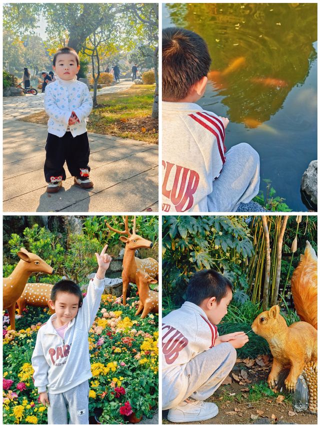 解鎖金陵秋日限定浪漫