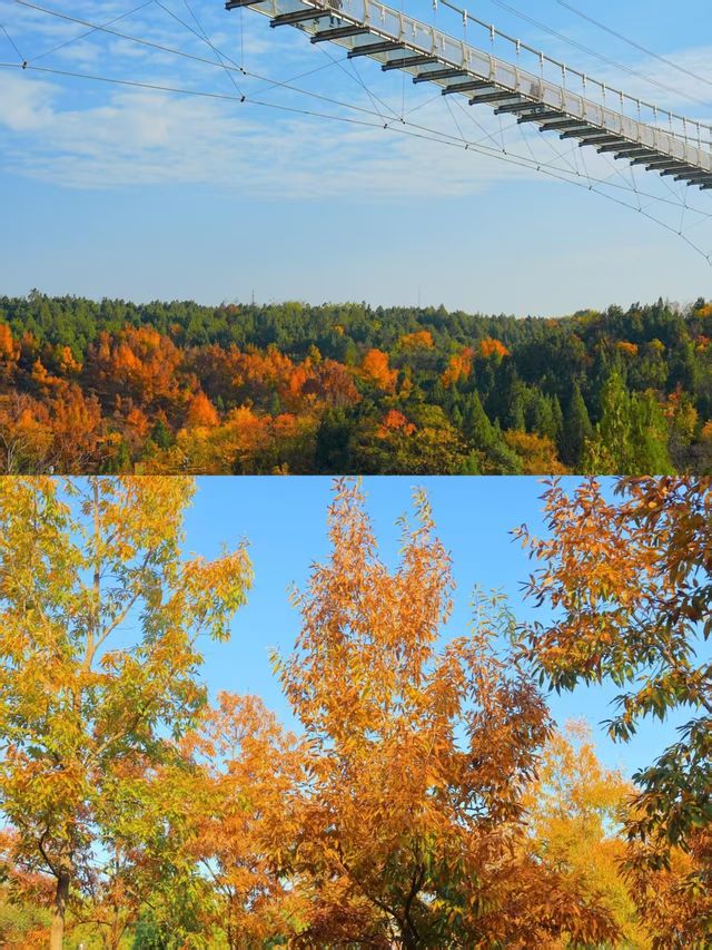 徐州私藏秋景｜馬陵山避世賞楓攻略