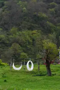 人生第一次帶相機雨林徒步!