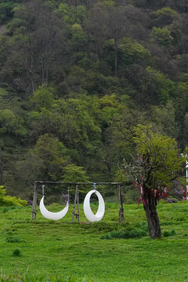 人生第一次帶相機雨林徒步! 人生第一次帶相機雨林徒步!