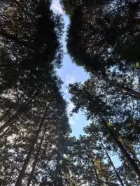 四明山十字褲徒步 上海-餘姚