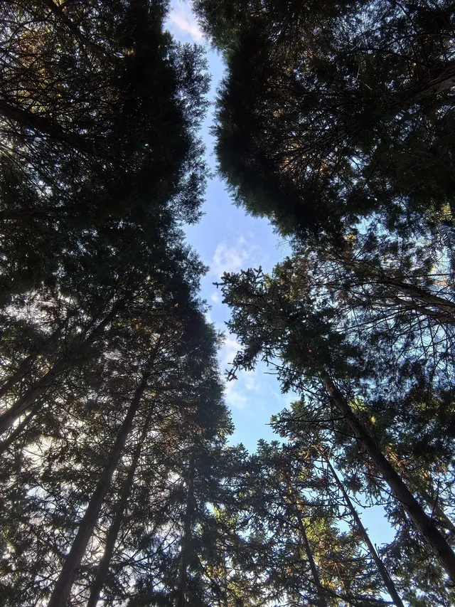 四明山十字褲徒步 上海-餘姚