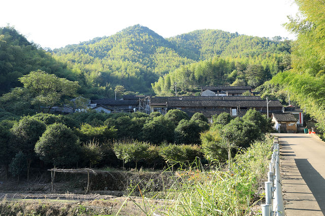 很有意思的村莊，豬頭嶺村？消失的世外桃源